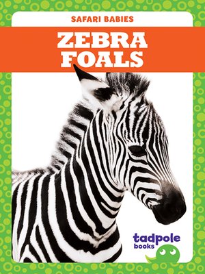 cover image of Zebra Foals